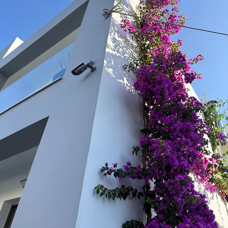 Anna And Jimmy's Apartment *